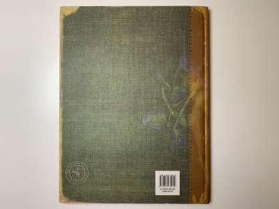 ���������� �1 ����� Lady cottingtons fairry album