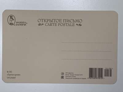 ���������� �1 �������� ������ �����! Lost puppy! �443