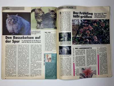 ���������� �25 ������� Burda 1/1990