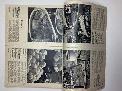 ���������� �103 ������� Burda 4/1969