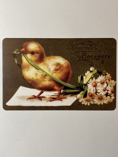 ���������� ������� �������� �������� ��������! �117