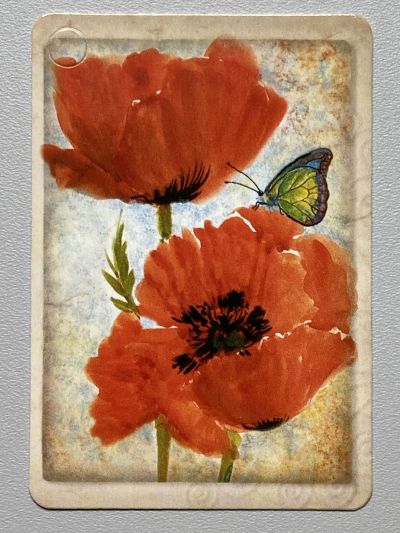 ���������� ������� �������� ����� �49