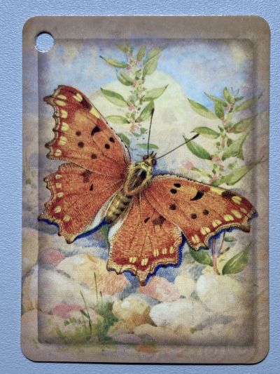 ���������� ������� �������� ������� �56