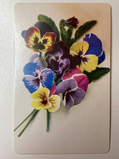 ���������� ������� �������� ����� �172