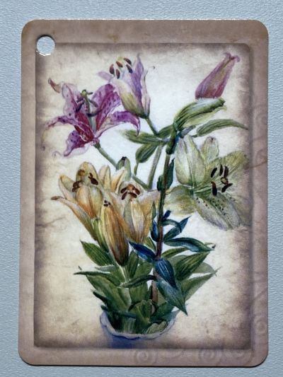 ���������� ������� �������� ����� �57