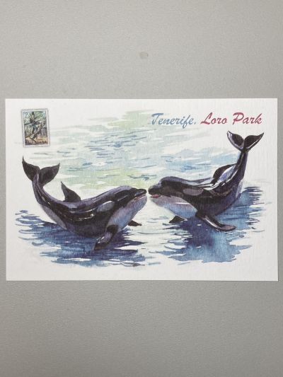 ���������� ������� ������� Tenerife. Loro Park �9