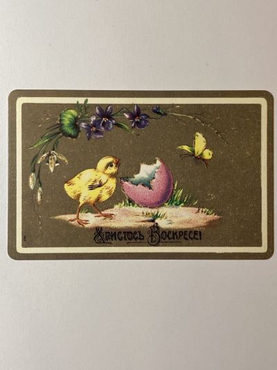 ���������� ������� �������� �������� ��������! �84